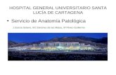 HOSPITAL GENERAL UNIVERSITARIO SANTA LUCÍA DE CARTAGENA
