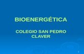 BIOENERG‰TICA COLEGIO SAN PEDRO CLAVER