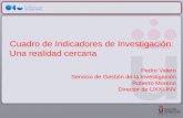 Cuadro de Indicadores  de Investigación :  Una realidad cercana Pedro Valero