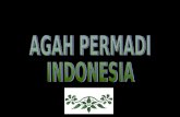 AGAH PERMADI INDONESIA