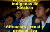 Las lenguas indígenas de México: Situación actual y prospectiva