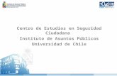 Centro de Estudios en Seguridad Ciudadana   Instituto de Asuntos Públicos  Universidad de Chile