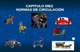 CAPITULO DIEZ  NORMAS DE CIRCULACIÓN