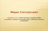 Mapas Conceptuales Adaptado por:  Carlos Enrique Londoño Vélez