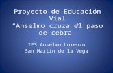 Proyecto de Educación Vial “Anselmo cruza el paso de cebra”