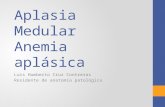 Aplasia Medular Anemia  aplásica