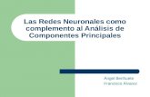 Las Redes Neuronales como complemento al Análisis de Componentes Principales