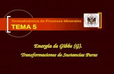 Termodinámica de Procesos Minerales TEMA 5