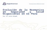 Evolución de la Normativa en Seguridad y Salud Ocupacional en el Perú