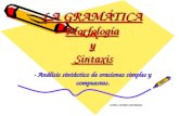 LA GRAMÁTICA Morfología y  Sintaxis