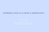 INTRODUCCION A LA OPTICA ADAPTATIVA M. Pérez Cagigal  Óptica Adaptativa en Biomedicina