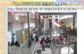 HOSPITAL ELIZALDE PROMOCION Y PROTECCION