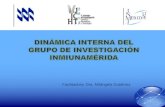 DINÁMICA INTERNA DEL GRUPO DE INVESTIGACIÓN INMIUNAMÉRIDA