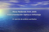 Mesa Redonda AAA 2005 Instrumentación Optica e Infrarroja