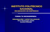 INSTITUTO POLITECNICO NACIONAL  INCUBADORA DE EMPRESAS