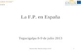 La F.P. en España