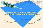 PREVENCIÓN DE RIESGO LABORALES:  OBJETIVOS. DISCIPLINAS PREVENTIVAS.