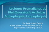 Lesiones Premalignas  de  Piel:Queratosis Actínicas ,  Eritroplaquia ,  Leucoplaquia