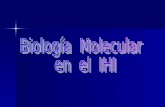 Biología  Molecular  en  el  IHI