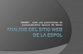 ANALISIS DEL SITIO WEB DE LA ESPOL