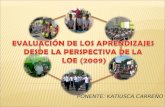 EVALUACIÓN DE LOS APRENDIZAJES DESDE LA PERSPECTIVA DE LA  LOE (2009)