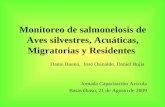 Monitoreo de salmonelosis de Aves silvestres, Acuáticas, Migratorias y Residentes