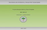 Proyecto Bosques Nativos y Áreas Protegidas BIRF 4085 AR Componente  A - Bosques Nativos