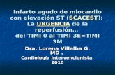 Dra. Lorena Villalba G. MD . Cardiología intervencionista.  2010