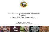 Desarrollo y Promoción Económica Local - Experiencias Comparadas -  Renato Hauri Gómez