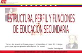 DIRECCIÓN GENERAL DE EDUCACIÓN SECUNDARIA