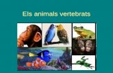 Els  animals vertebrats