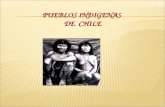PUEBLOS INDIGENAS  DE  CHILE