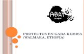 PROYECTOS EN GABA KEMISA (WALMARA, ETIOPÍA)