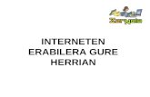 INTERNETEN ERABILERA GURE HERRIAN