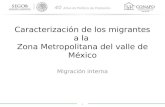 Caracterización de los migrantes a la  Zona Metropolitana del valle de México