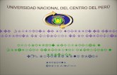 UNIVERSIDAD NACIONAL DEL CENTRO DEL PERÚ