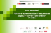 Curso Internacional  “Diseño e Implementación de Esquemas de Pagos por Servicios Ambientales”