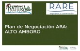 Plan de Negociación ARA: ALTO AMBORO