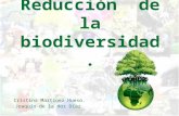 Reducción  de la biodiversidad.