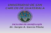 FACULTAD DE ODONTOLOGÍA Dr. Sergio A. García Piloña