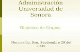 Maestría en Administración Universidad de Sonora