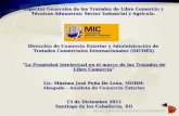 Tratado de Libre Comercio  Rep ú blica Dominicana – Centroamérica (TLC RD/CA)