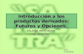 Introducción a los productos derivados: Futuros y Opciones