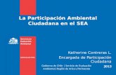 La Participación Ambiental Ciudadana en el SEA