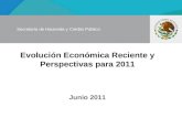 Evolución Económica Reciente y Perspectivas para 2011 Junio 2011