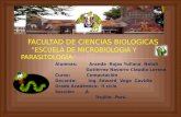 FACULTAD DE CIENCIAS BIOLOGICAS