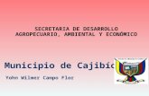 Municipio de Cajibío