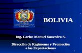 Ing. Carlos Manuel Saavedra S. Dirección de Regímenes y Promoción a las Exportaciones