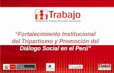 “Fortalecimiento Institucional del Tripartismo y Promoción del  Diálogo Social en el Perú”