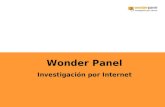 Wonder Panel Investigación por Internet